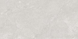 Ashcombe Greige Porcelain Wall & Floor Tile PTV36 300X600mm